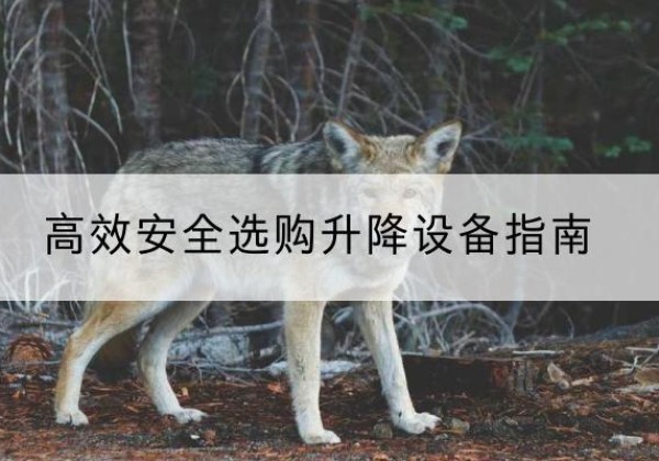 长白升降货梯厂家推荐-*安全选购升降设备指南