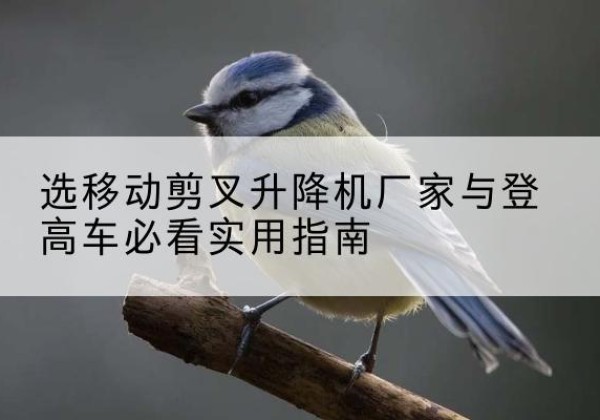长白电动升降机厂家-选移动剪叉升降机厂家与登高车必看实用指南