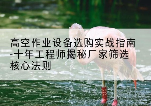 长白剪叉式升降机厂家-高空作业设备选购实战指南-十年工程师揭秘厂家筛选核心法则